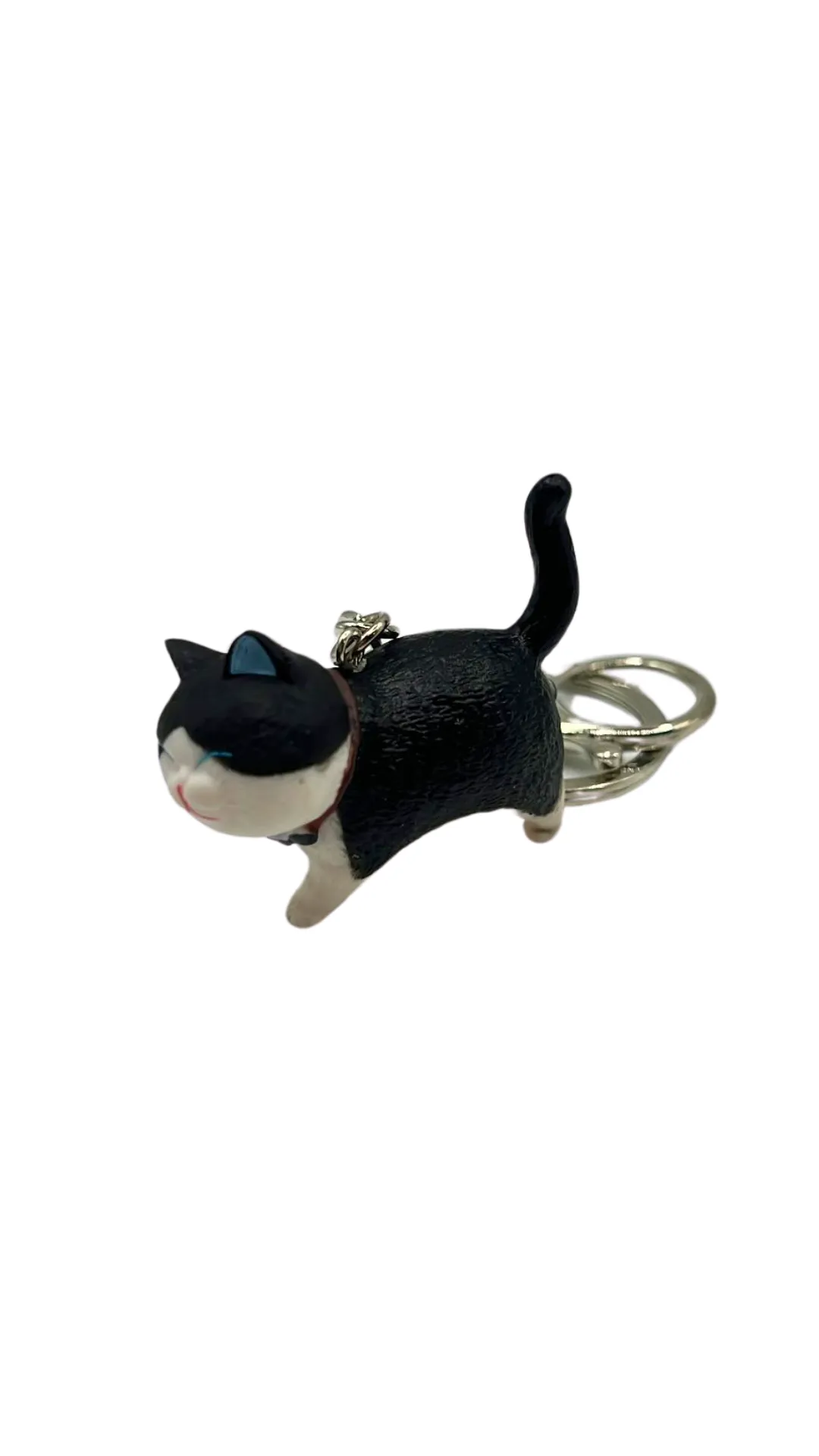Cat Charm