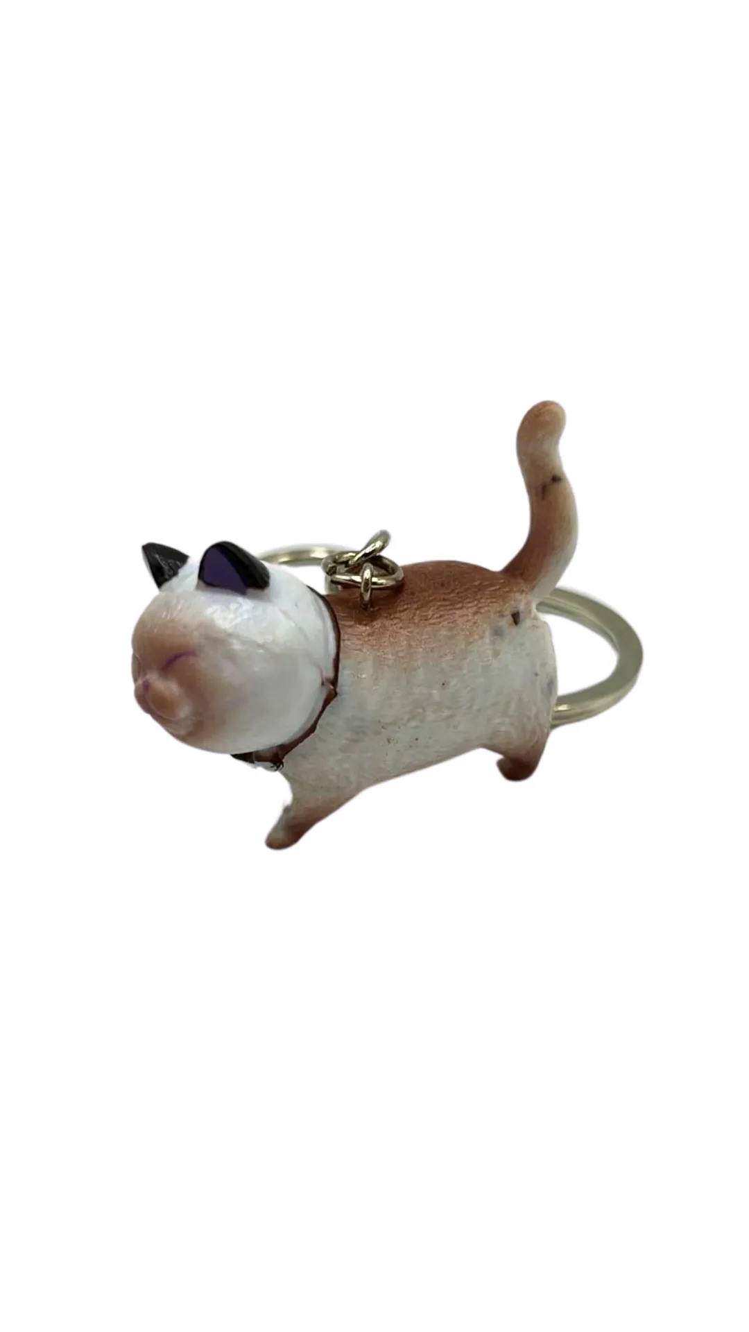 Cat Charm