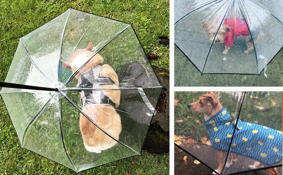 Dog Umbrella with Leash
