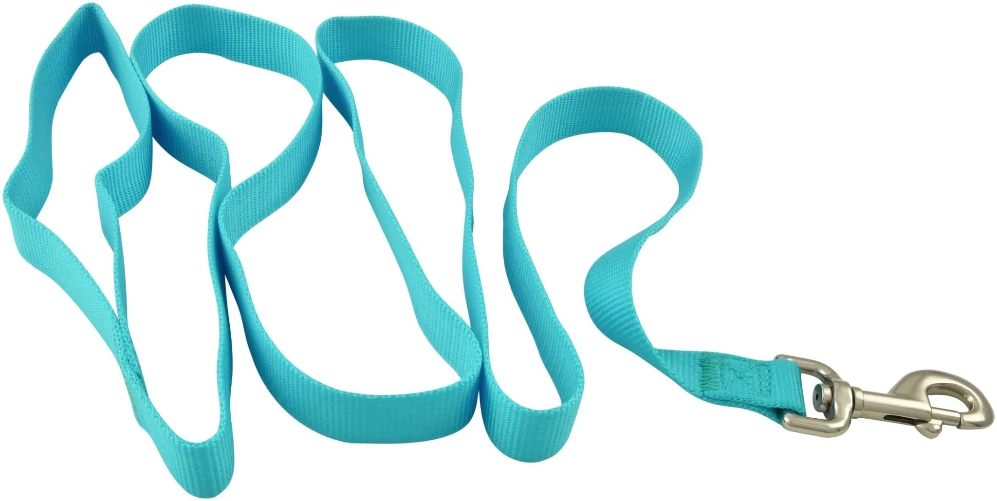 Jeffers Web Nylon Dog Leash, 5/8" x 4' L