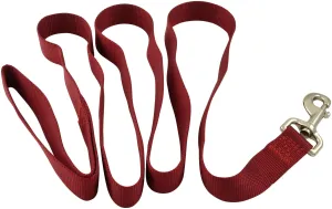 Jeffers Web Nylon Dog Leash, 5/8" x 4' L