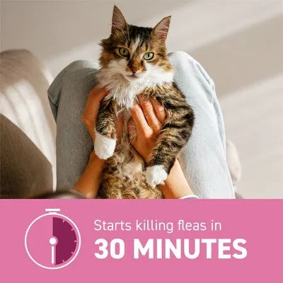 New - Capstar Fast-Acting Oral Flea Treatment for Cats - 2-25 lbs/6ct