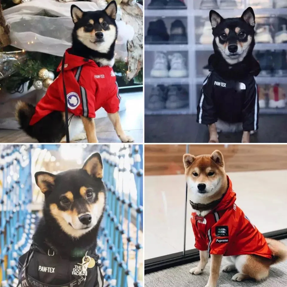 Pet Dog Waterproof Coat | The Dog Face Outdoor Jacket Raincoat with Reflective Strips for Small, Medium, & Large Dogs