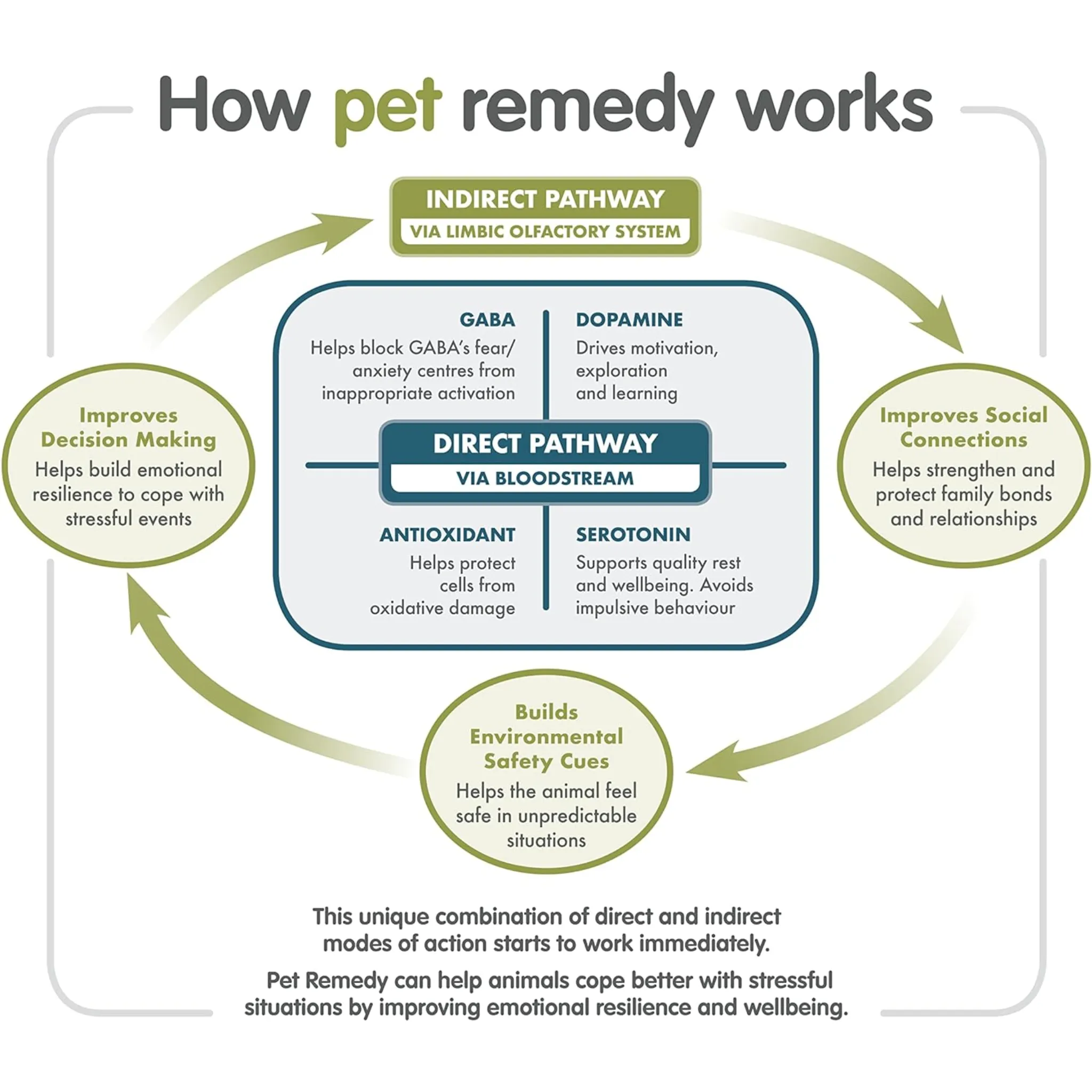 Pet Remedy Diffuser Refill - 40ml x 2