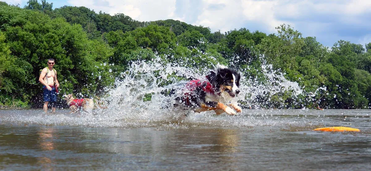 Ruffwear Hydro Plane