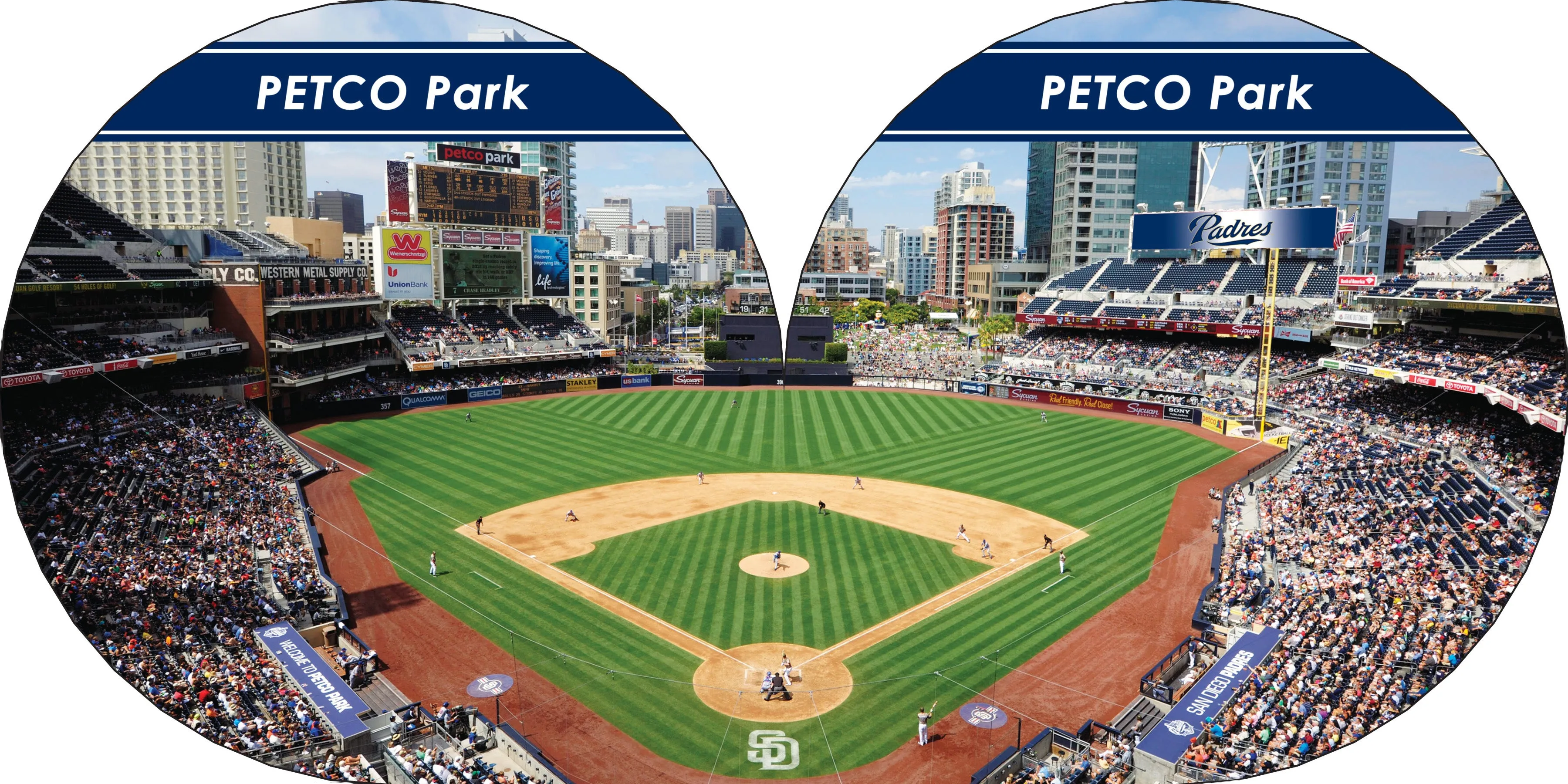 San Diego Padres 101