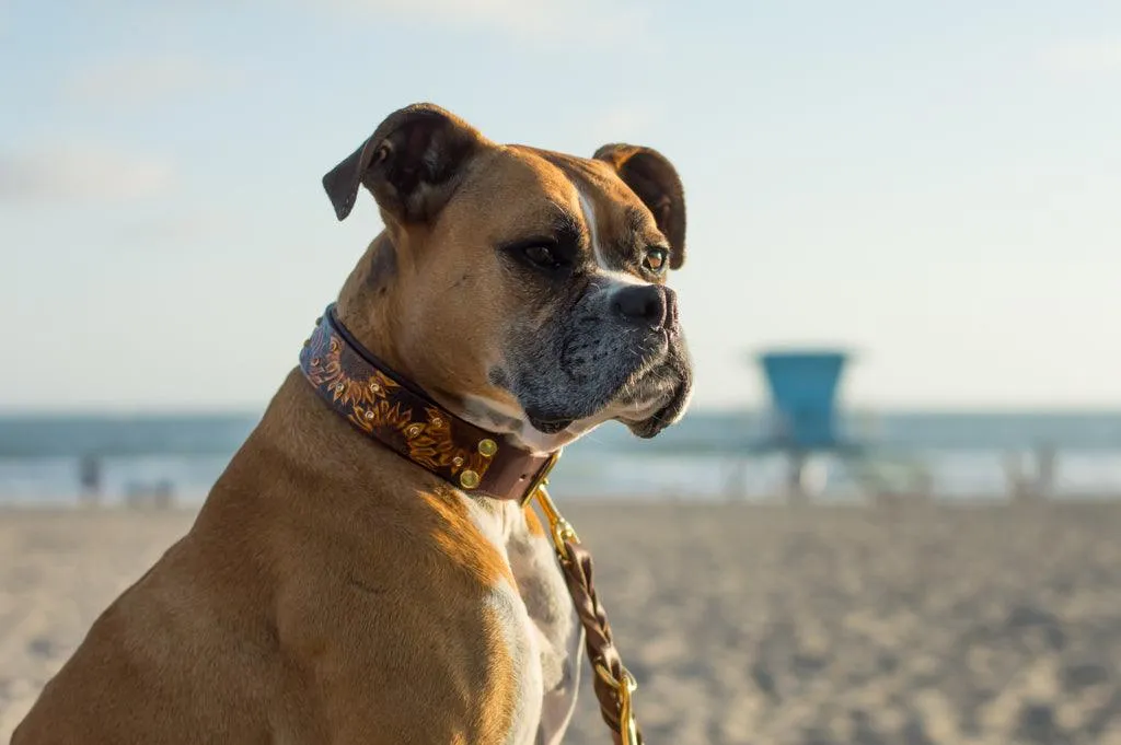 Sunflowers Leather Collar